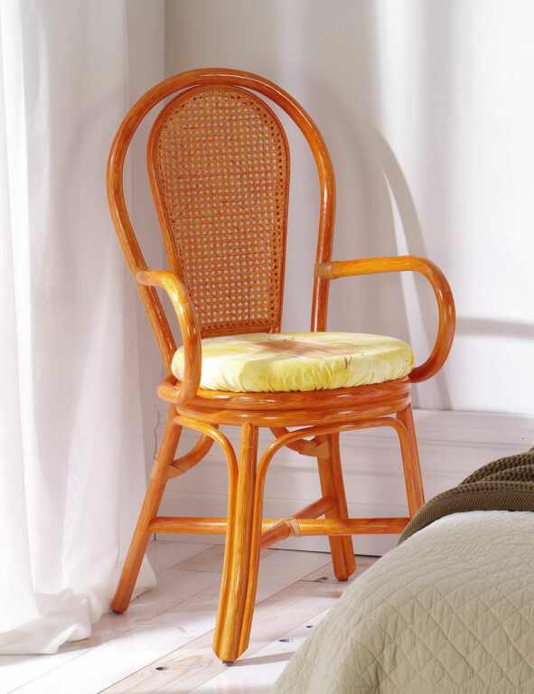 Chaise rotin et cannage avec accoudoirs de salle à manger