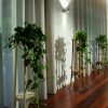 Portes plantes pour intérieur en rotin
