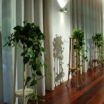 Portes plantes pour intérieur en rotin