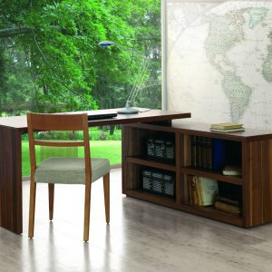 Bureau et bibliothèque en bois
