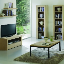 Bibliothèques de salon, table basse et meubles télé en bois