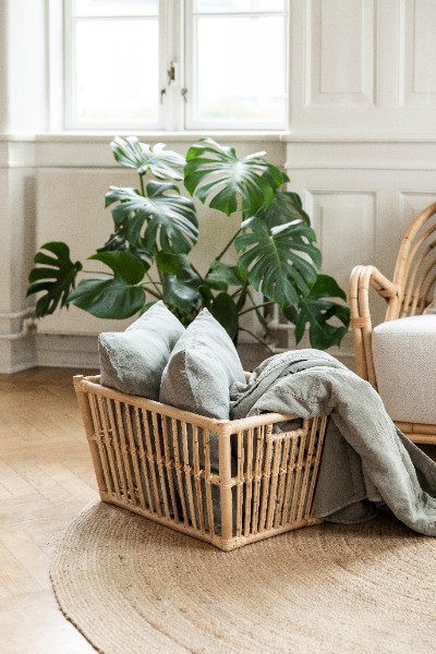 Panier rotin avec canapé rotin et plantes pour deco bohème chic