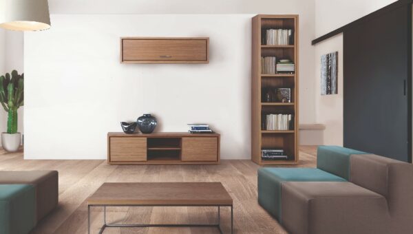 Comment aménager une bibliothèque dans un salon