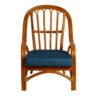 Fauteuil en rotin d'intérieur avec coussin bleu