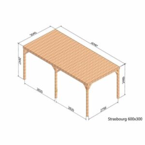 Grand pergola bois avec toit 6x3 Strasbourg